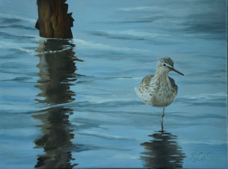 Bird in Repose